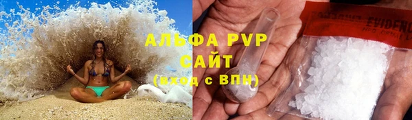 шишки Богородицк