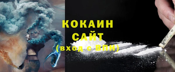 шишки Богородицк