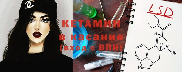 шишки Богородицк