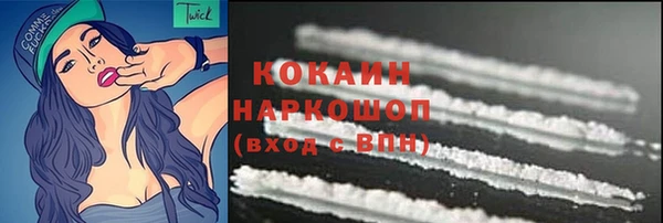 шишки Богородицк