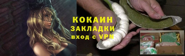 крисы Богородск