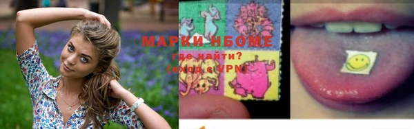 шишки Богородицк