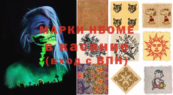 шишки Богородицк