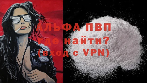 шишки Богородицк
